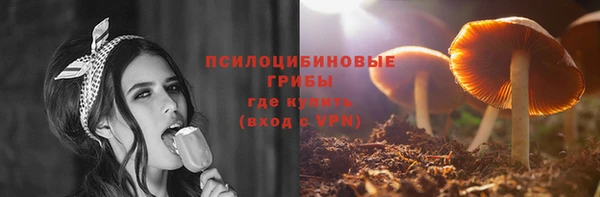 гашик Абинск