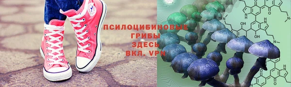 спайс Алзамай
