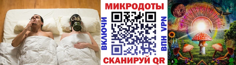 Галлюциногенные грибы Psilocybe  Новоалександровск 